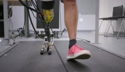 Ученые смоделировали протез ноги с настоящей ступней