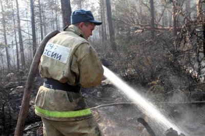 Лесные ведомства начинают усиленную борьбу с пожарами в лесах Сибири