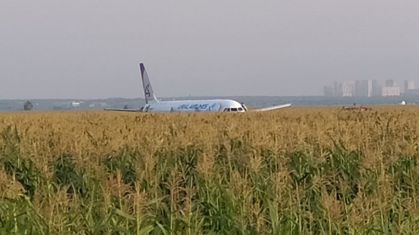 Самолет упал в кукурузное. А321 Уральские авиалинии кукурузное поле. Уральские авиалинии кукурузное поле. Уральские авиалинии сел в кукурузном поле. Самолёт сел на кукурузное поле в Жуковском.