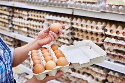 На рынках Бельгии обнаружили куриные яйца с токсинами