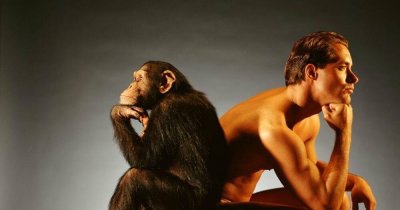 Эволюция. Почему еще ни одна обезьяна не превратилась в человека?
