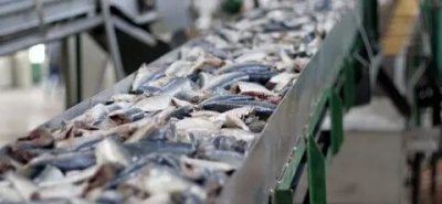В октябре на Камчатке откроют завод, перерабатывающий рыбу