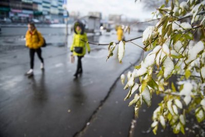 В Воронеже ожидаются заморозки: продлено штормовое предупреждение
