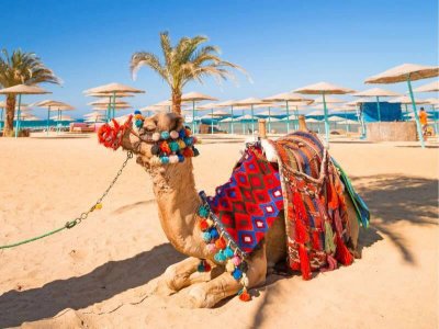 Зимний отдых: во сколько обойдется поездка в Египет в 2019 году