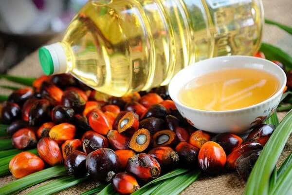 Малайзия поссорилась с Европой из-за пальмового масла