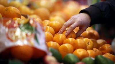 Россельхознадзором ограничен ввоз цитрусовых фруктов из Китая с 6 января