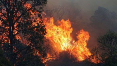 В Австралии не утихают масштабные лесные пожары