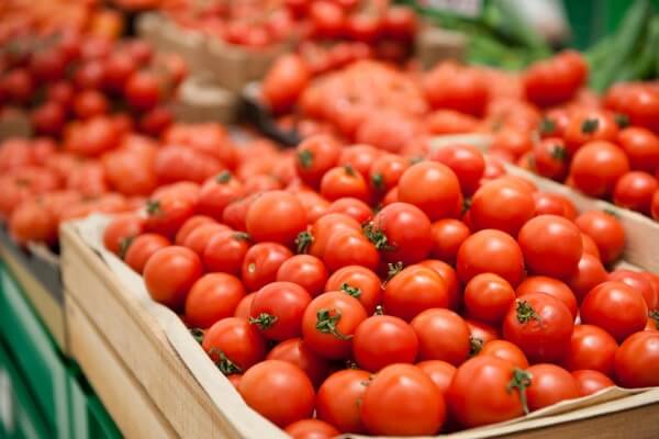 В Турции возникли перебои с экспортом помидоров в Россию