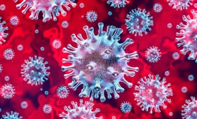 ВОЗ рассказывает о признаках коронавируса, а Роспотребнадзор о новых тестах на проверку иммунитета к заболеванию