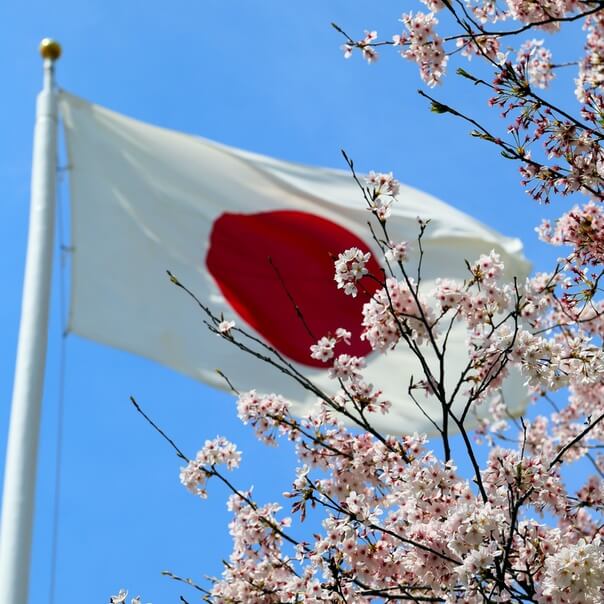 Япония запустила программу поддержки внутреннего туризма