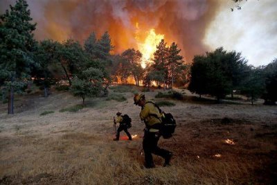 В Калифорнии продолжаются лесные пожары