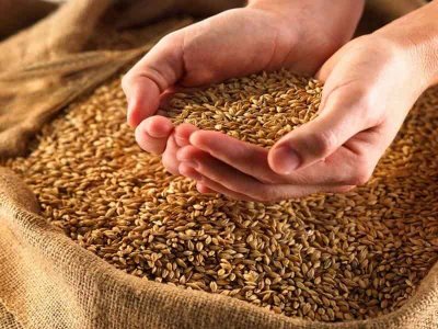 С 1 марта Россия увеличит пошлину на экспорт пшеницы в 2 раза