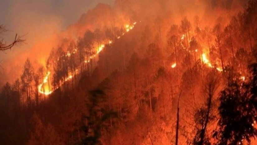 На Кипре продолжаются сильные лесные пожары