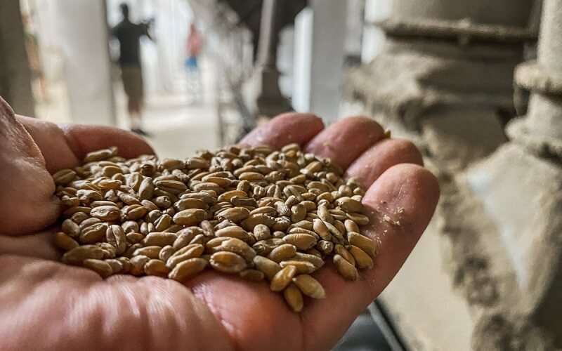 Турция обсуждает коридоры для импорта зерна из Украины