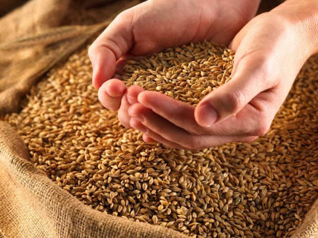 Проблему с поставками зерна предлагают решить разными способами