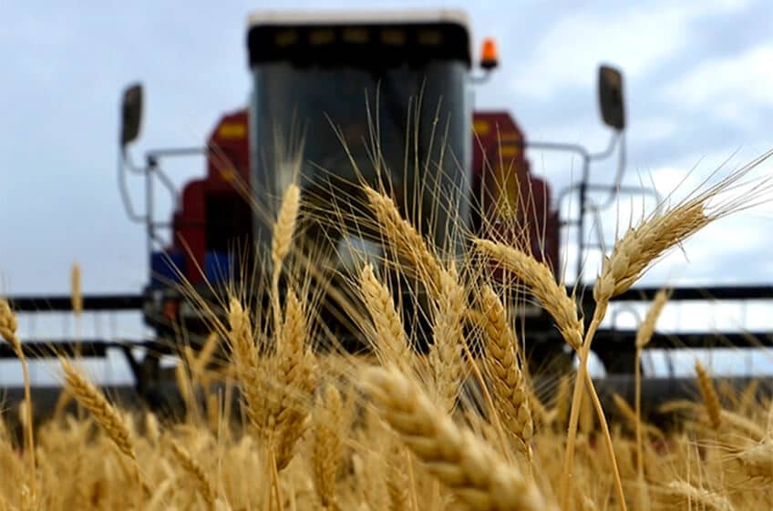 В Анкаре анонсировали встречу делегаций по вопросу экспорта зерна