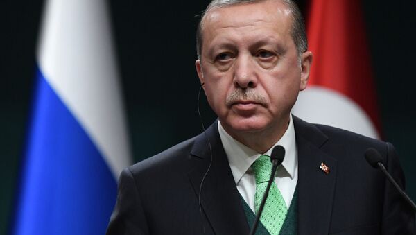 Реджеп Эрдоган планирует создать международный газовый хаб