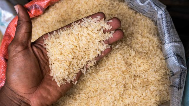 Индия сократит экспорт риса на 80%