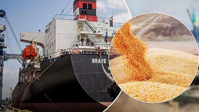 Украина готова рискнуть иностранными судами и продолжить зерновую сделку