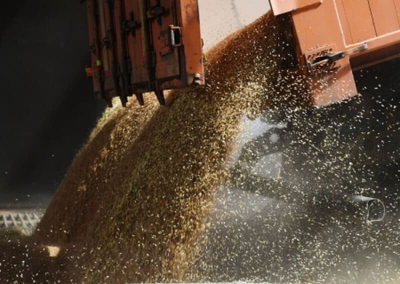Литва возобновила закупку зерна из России через полгода